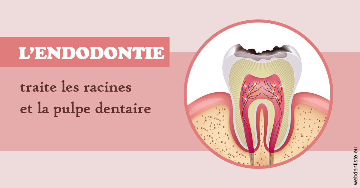 https://dr-olivier-percheron.chirurgiens-dentistes.fr/L'endodontie 2