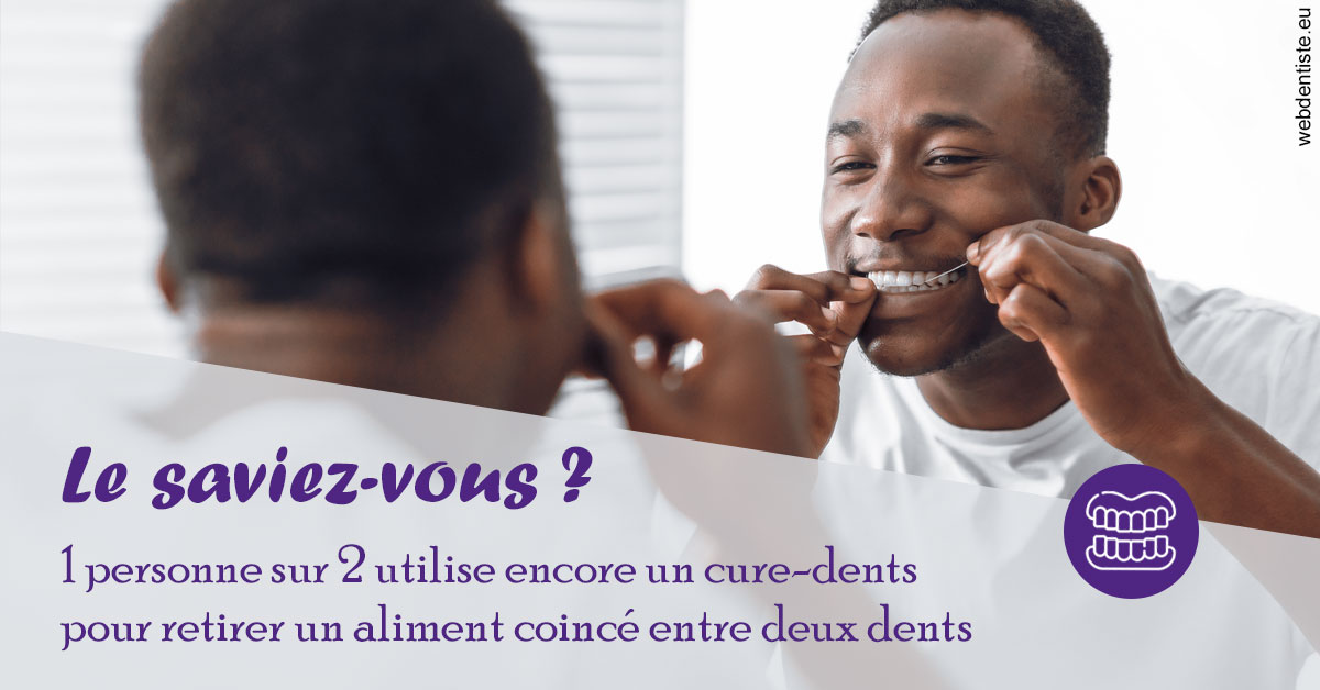 https://dr-olivier-percheron.chirurgiens-dentistes.fr/Cure-dents 2