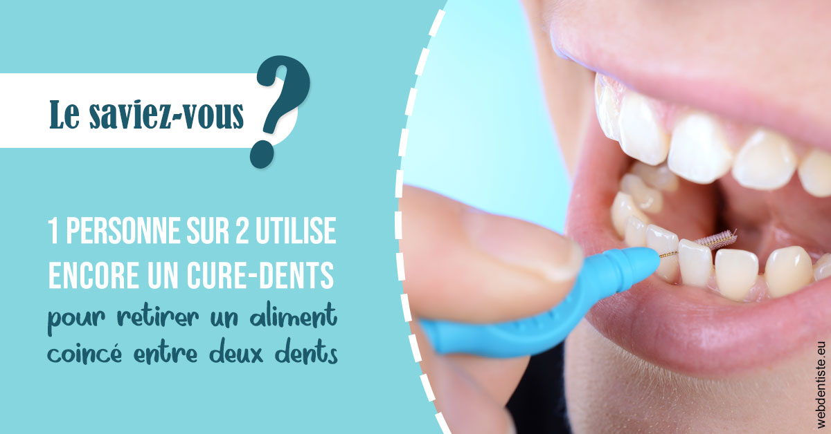 https://dr-olivier-percheron.chirurgiens-dentistes.fr/Cure-dents 1
